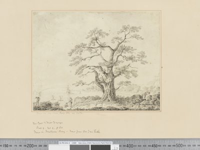 Vue sur le rivage, grand arbre au centre, vers 1783-84 - John Webber