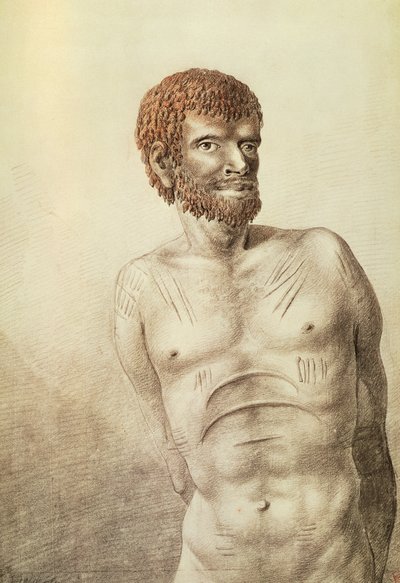 Autochtone de la Terre de Van Diemen, maintenant Tasmanie, janvier 1777 - John Webber