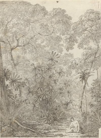 Le palmier éventail de Krakatoa - John Webber