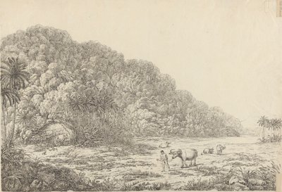 Vue sur l
