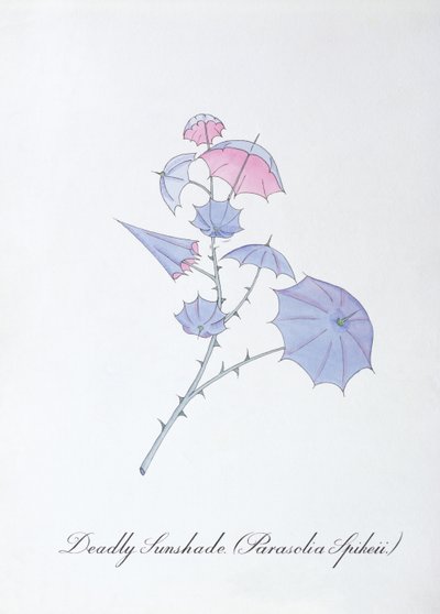 Deadly Sunshade (Parasolia Spikeii.), illustration de 