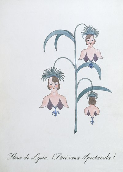 Fleur de Lysia (Parisiana Spectacula.), illustration de 