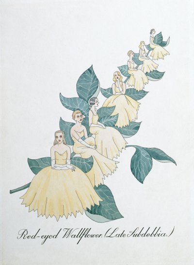 Giroflée aux yeux rouges (Late Subdebbia), illustration de 