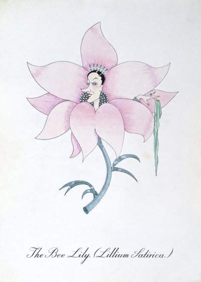 Le Lys des abeilles (Lillium Satirica.), illustration de 