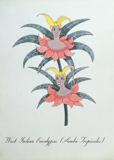 Eucalypso des Antilles (Samba Tropicalis.), illustration de 