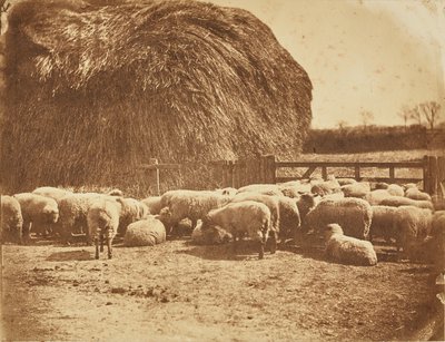 [Moutons dans un enclos] - John Whistler