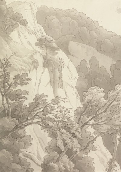 Canonteign - John White Abbott