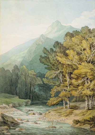 Sur le Dart à Holne Chase - John White Abbott