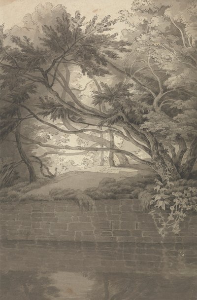 Arbres surplombant un lac - John White Abbott
