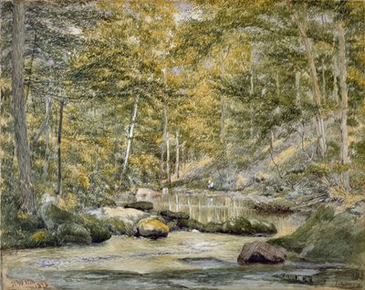 Étang Forestier avec des Hommes Pêchant - John William Hill
