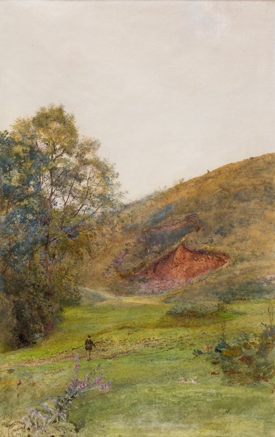 Les collines de Quantock, vers 1870 - John William North