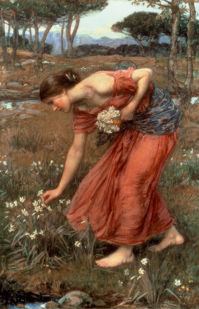 Narcisse - John William Waterhouse