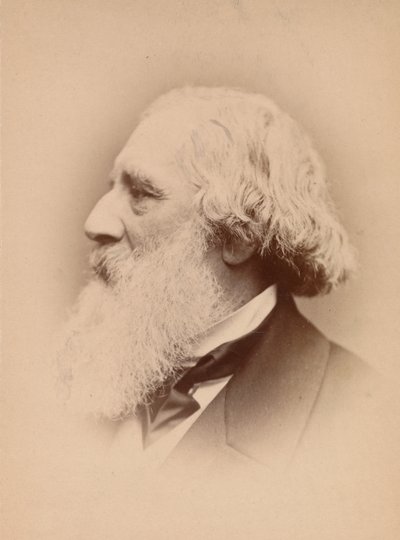 [John Frederick Lewis], 1860s - John and Charles Watkins