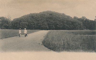 Le Banian, Jardins botaniques. Calcutta, 1906 - Johnston and Hoffmann