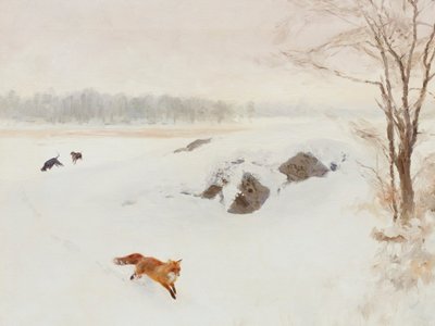 À la poursuite du renard roux en hiver - Jolly and Dash