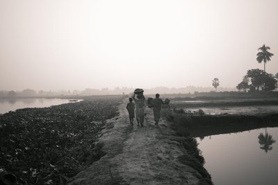 Pêche en zone humide à Kolkata, 2016 (photo) - Jon Nicholson