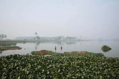 Pêche en zone humide à Kolkata, 2016 (photo) - Jon Nicholson