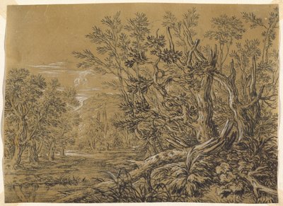Ruisseau à travers une forêt ancienne - Jonas Umbach