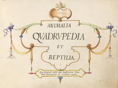 Page de titre - Joris Hoefnagel