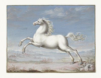 Cheval blanc - Joris Hoefnagel