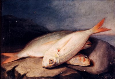 Espagnol : Bodegón de peces - José Arias Ramírez