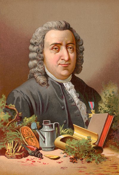 Carl von Linné - Jose Armet Portanell