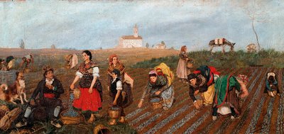 La récolte du safran (détail) - Jose Bru Albinana