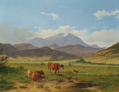 Paysage avec Schneeberg - Josef Feid