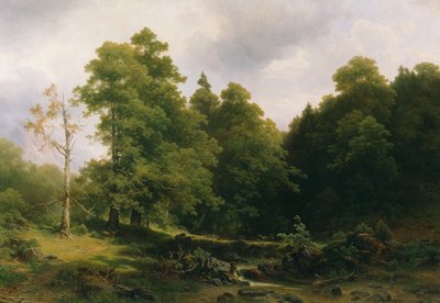 Le coin tranquille de la forêt - Josef Holzer
