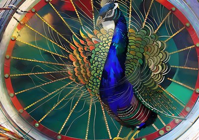 Animaux : Paon 3 - Josef Johann Michel