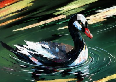 Animaux : Cygne noir 1 - Josef Johann Michel
