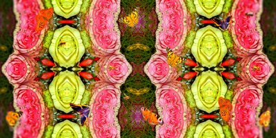 Créatures : Abeilles et papillons dans le jardin de roses - Josef Johann Michel
