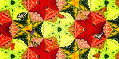Créatures : Papillons dans le jardin de roses - Josef Johann Michel