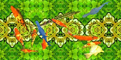 Créatures : Poissons koi dans le jardin sous-marin 3 - Josef Johann Michel