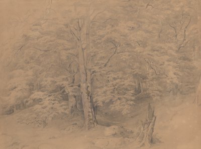  - Josef Kriehuber