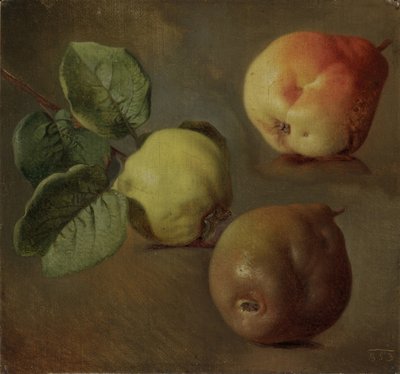 Les coings - Josef Matěj Navrátil