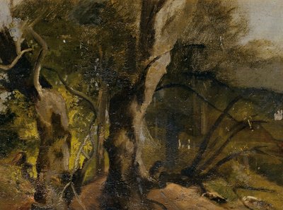 Étude de forêt - Josef Navrátil