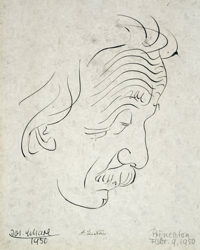 Albert Einstein - Josef Scharl