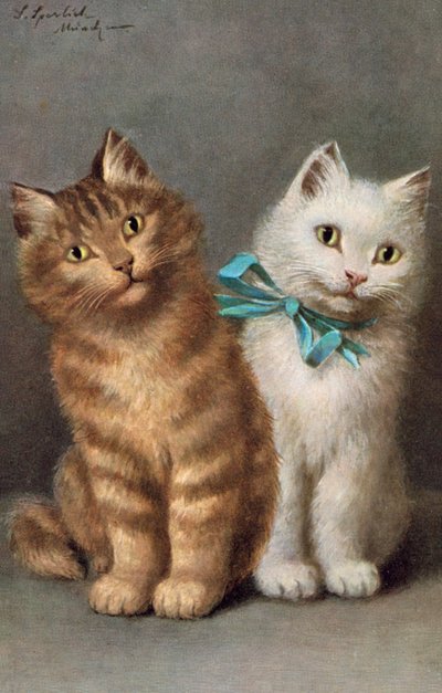 Carte postale de chat - Josef Sperlich