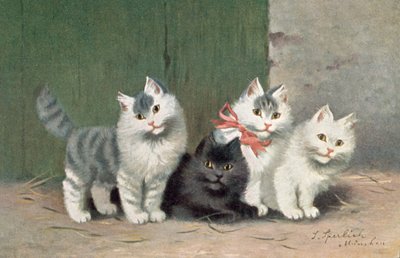 Carte postale de chat - Josef Sperlich