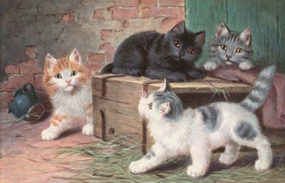 Carte postale de chat - Josef Sperlich