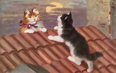 Carte postale de chat - Josef Sperlich
