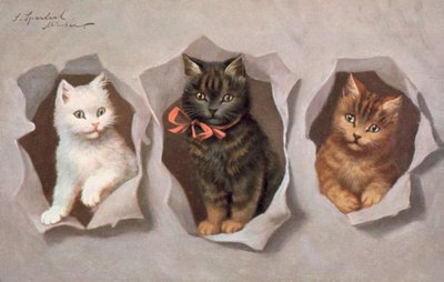 Carte postale de chat - Josef Sperlich