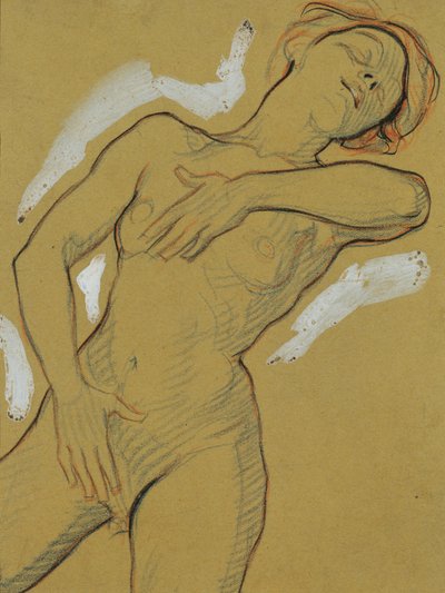 Nu féminin - Josef Wawra