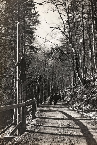Album "Meine weltkriegs - Erinnerungen Front Sud-Ouest (Carinthie, Italie, Tyrol du Sud) 31/03/1915-12/11/1918 - Josef Zohles Wien": soldats au travail - Josef Zohles