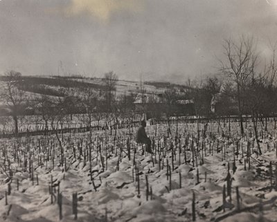 Album "Meine weltkriegs - Erinnerungen Front Sud-Ouest (Carinthie, Italie, Tyrol du Sud) 31/03/1915-12/11/1918 - Josef Zohles Wien": cimetière militaire - Josef Zohles