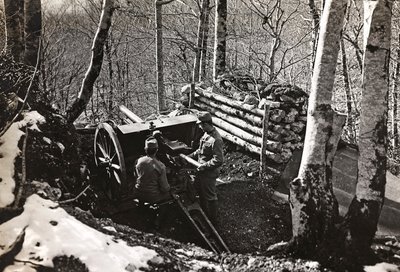 Album "Meine weltkriegs - Erinnerungen South-West Front (Carinthie, Italie, Tyrol du Sud) 31/03/1915-12/11/1918 - Josef Zohles Wien": soldats avec canon - Josef Zohles