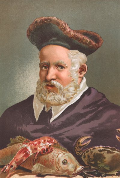 Guillaume Rondelet - Josep or Jose Planella Coromina