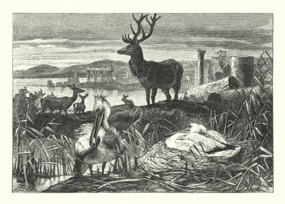 La Décadence de la pompe terrestre - Joseph (after) Wolf
