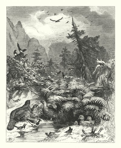 Recherche de Dieu (gravure) - Joseph (after) Wolf